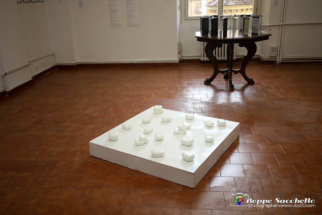VBS_4118 - Paratissima 2021 - 17.ma Edizione.jpg